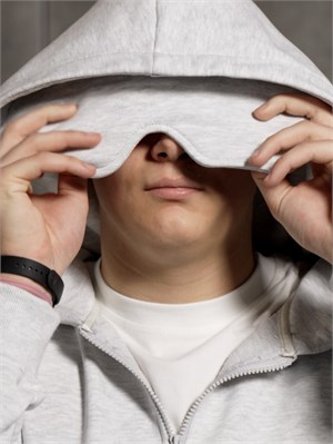 {{photo.Alt || photo.Description || 'Худи с маской ЕЛЕМЕНТАРНО серый'}}